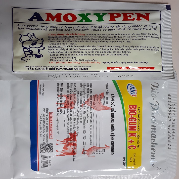 BỘ ĐÔI Amoxypen và Bio Gum KC ĐẶC TRI HÔ HẤP VÀ TIÊU HÓA CHO GÀ VỊT