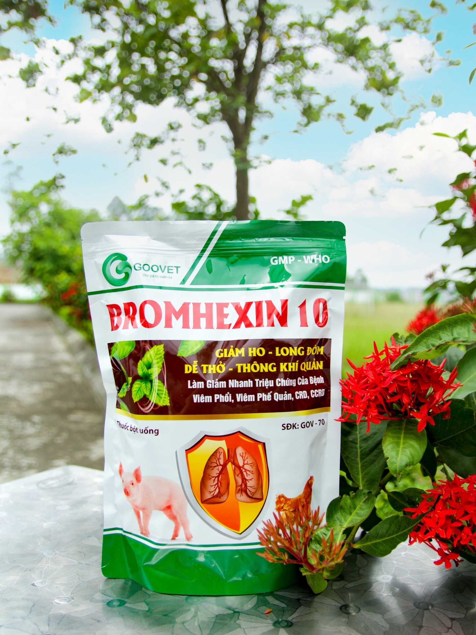 Bromhexin 10 - giảm ho - long đờm - dễ thở - thông khí quản.