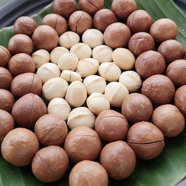 Hạt mắc ca sạch đắklắk - macca nứt vỏ tây nguyên