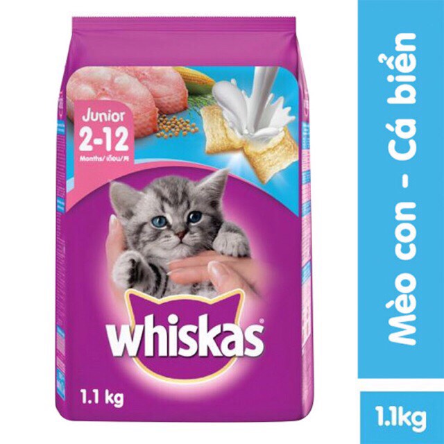 Thức ăn cho mèo con Whiskas - 11 kg