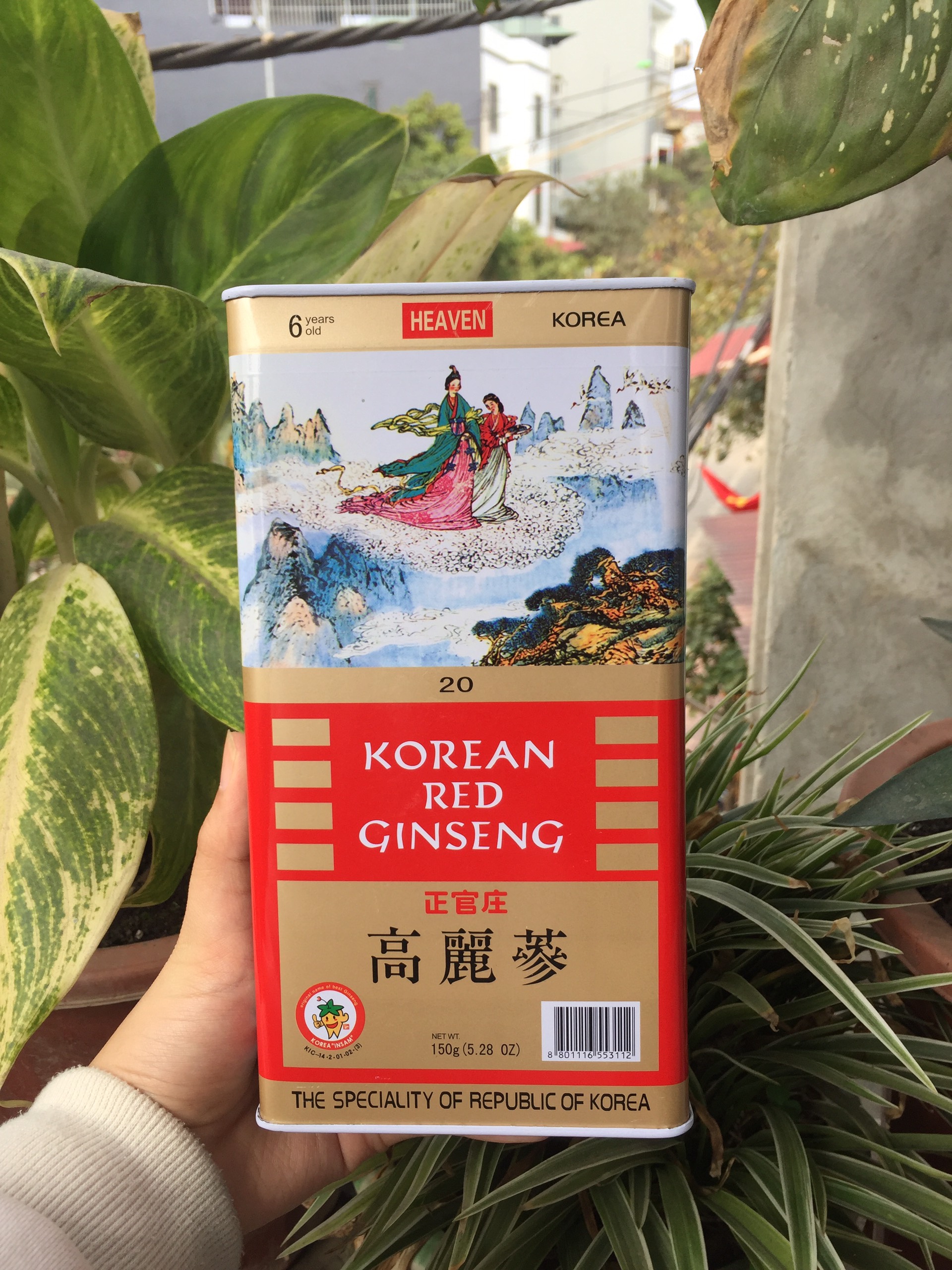 Hồng Sâm Củ Khô  Korean Red Ginseng Hộp Thiếc 150g