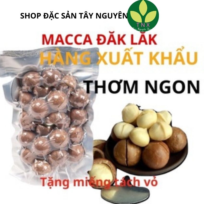 500gam Hạt Macca DakLak loại đặc biệt thơm ngon, Mắc ca Đăk Lăk hạt nứt vỏ,có chứng nhận ATVSTP