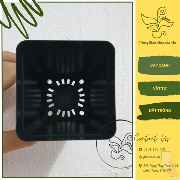 Set 10 chậu nhựa vuông ươm cây trồng sen đá xương rồng 7cm - khay chậu - chậu ươm