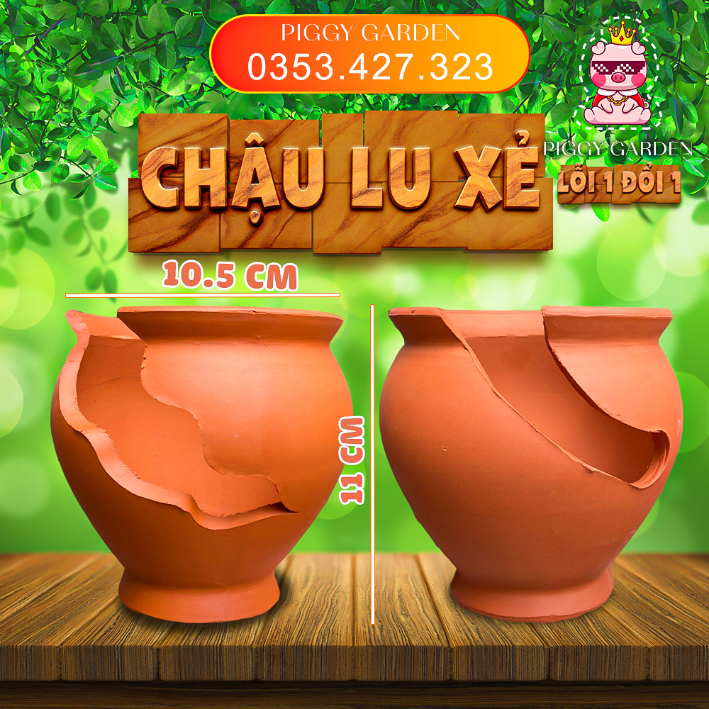 Chậu đất nung - Chậu trồng sen đá, xương rồng, cây để bàn -Chậu Lu xẻ 10.5x11cm