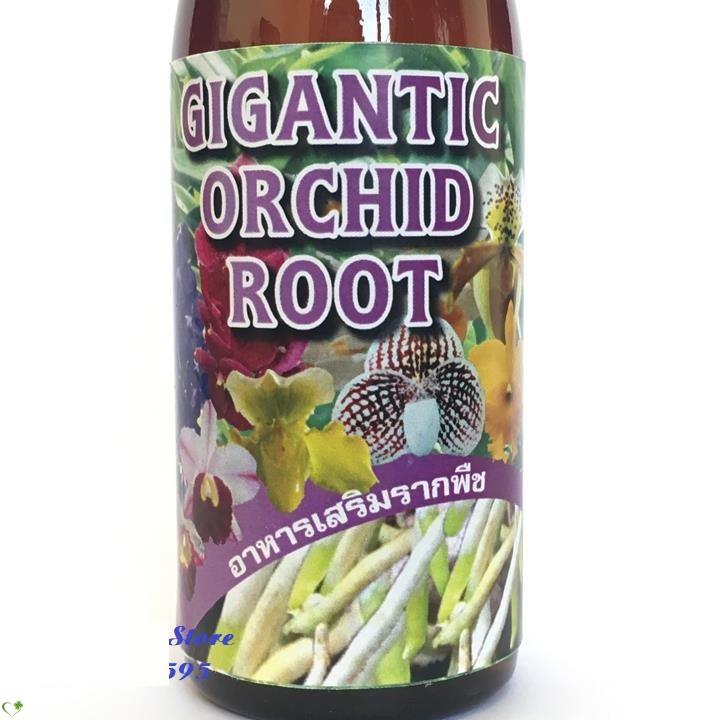 Phân bón kích rễ siêu mạnh gigantic orchid root chuyên dùng cho phong lan hàng nhập khẩu thái lan chai 100ml