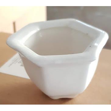 Chậu sứ ly miệng lục giác