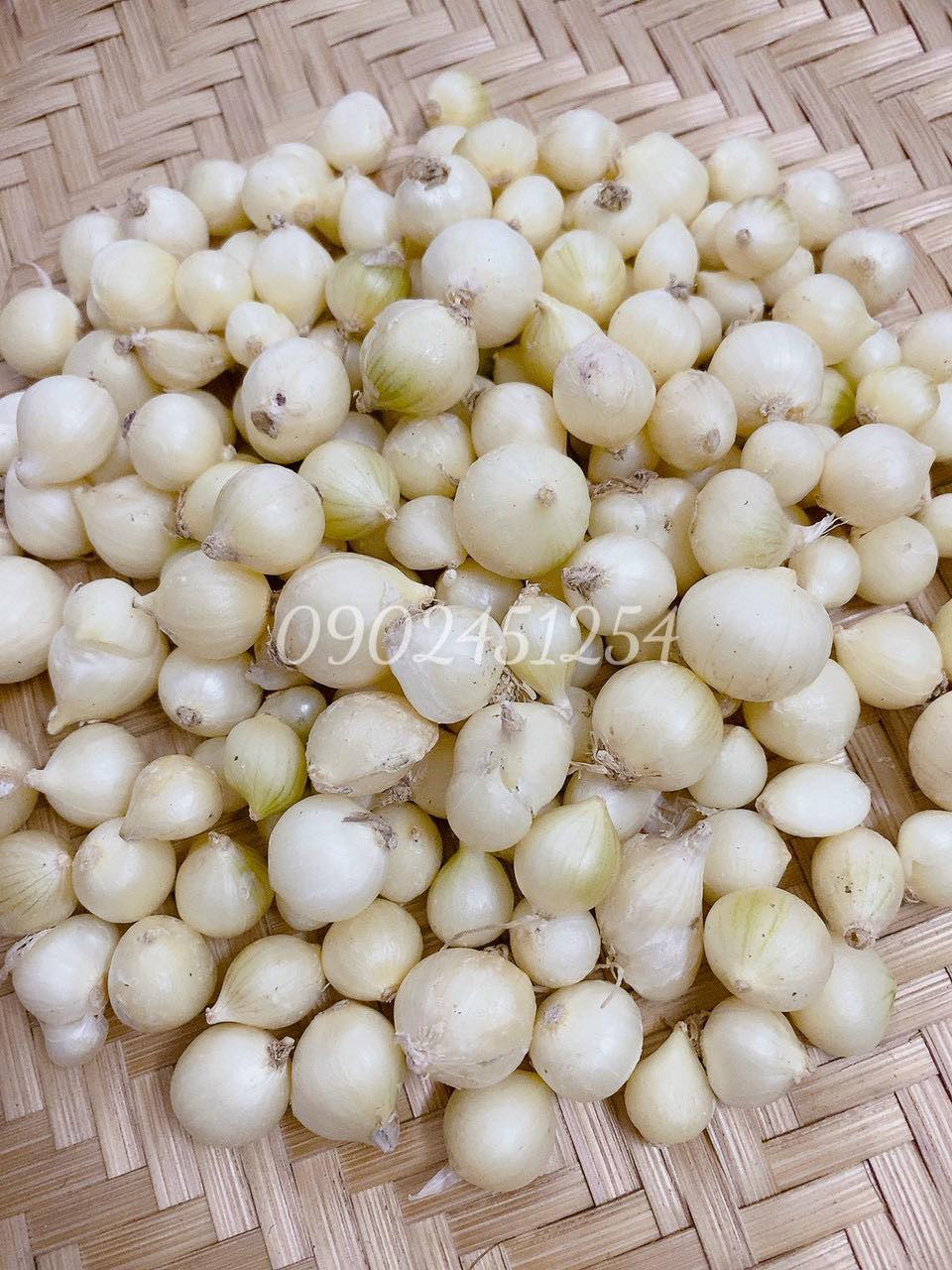 500Gram Củ Nén (Hành Tăm) Miền Trung Loại 1