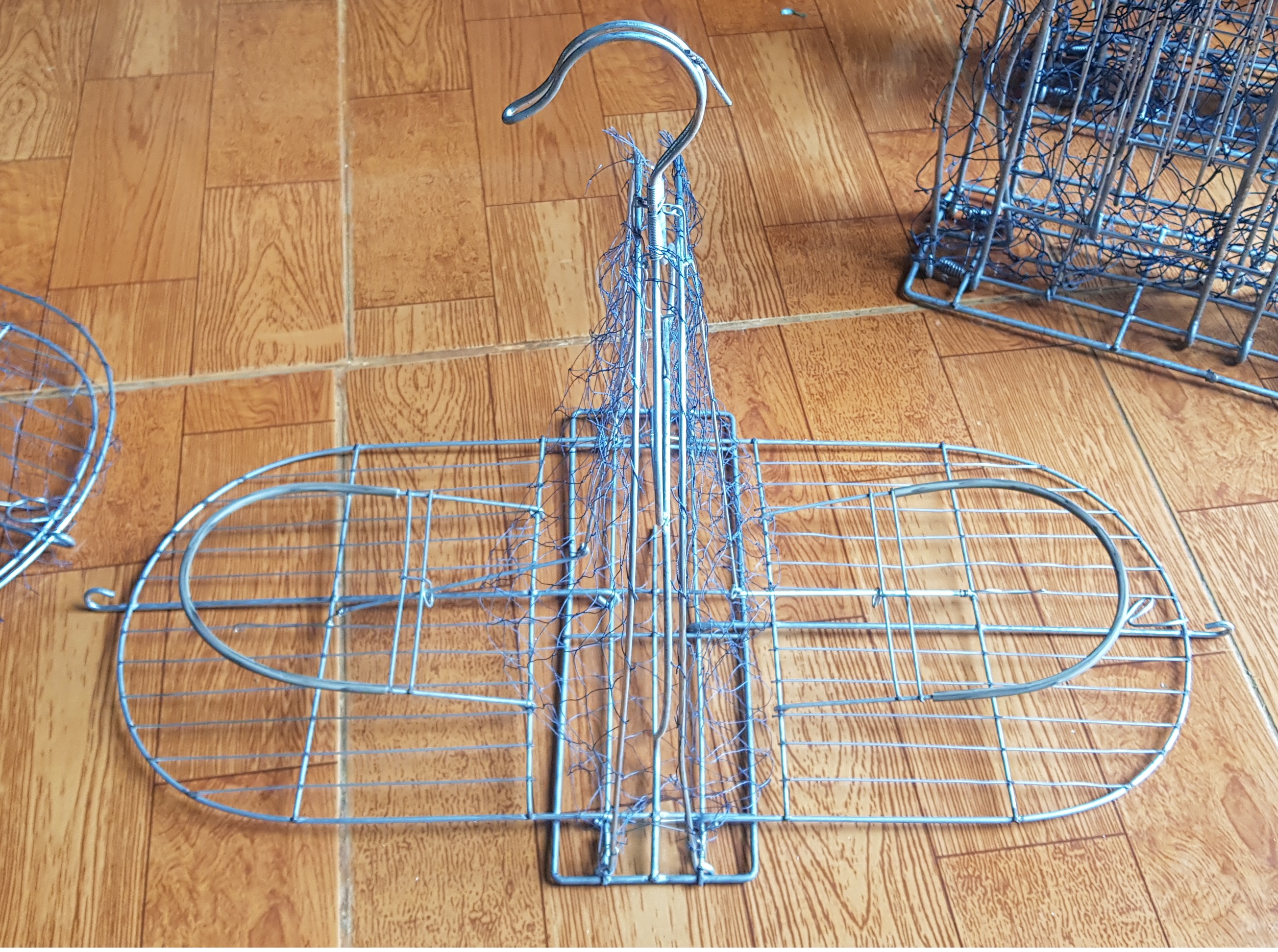 Bộ mẹt treo bẫy chào mào,khướu, chèo ,họa mi