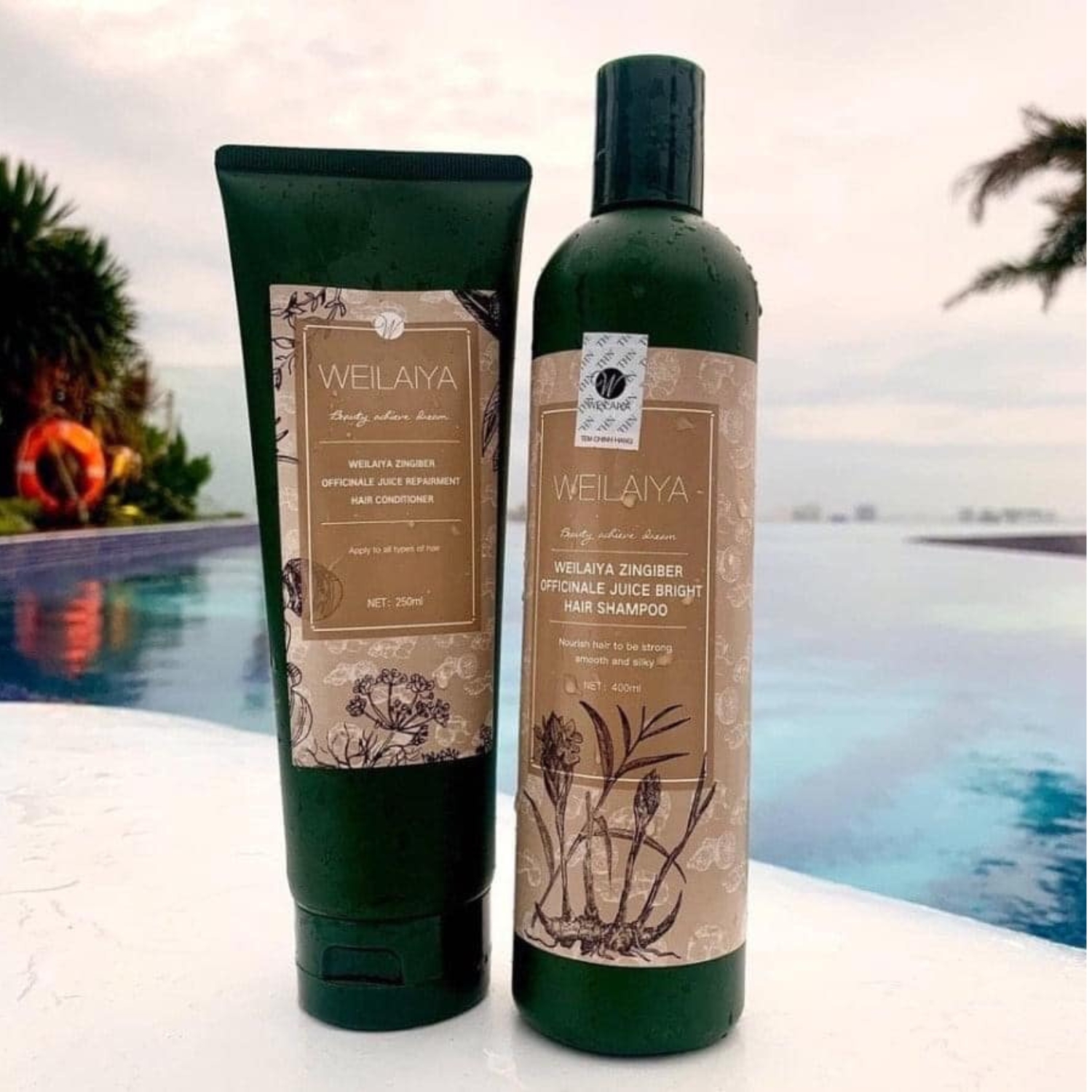 Dầu gội xả gừng hà thủ ô Weilaiya dành cho tóc yếu dễ gãy rụng hư tổn từ công thức thảo dược thiên nhiên an toàn mùi thơm quyến rũ