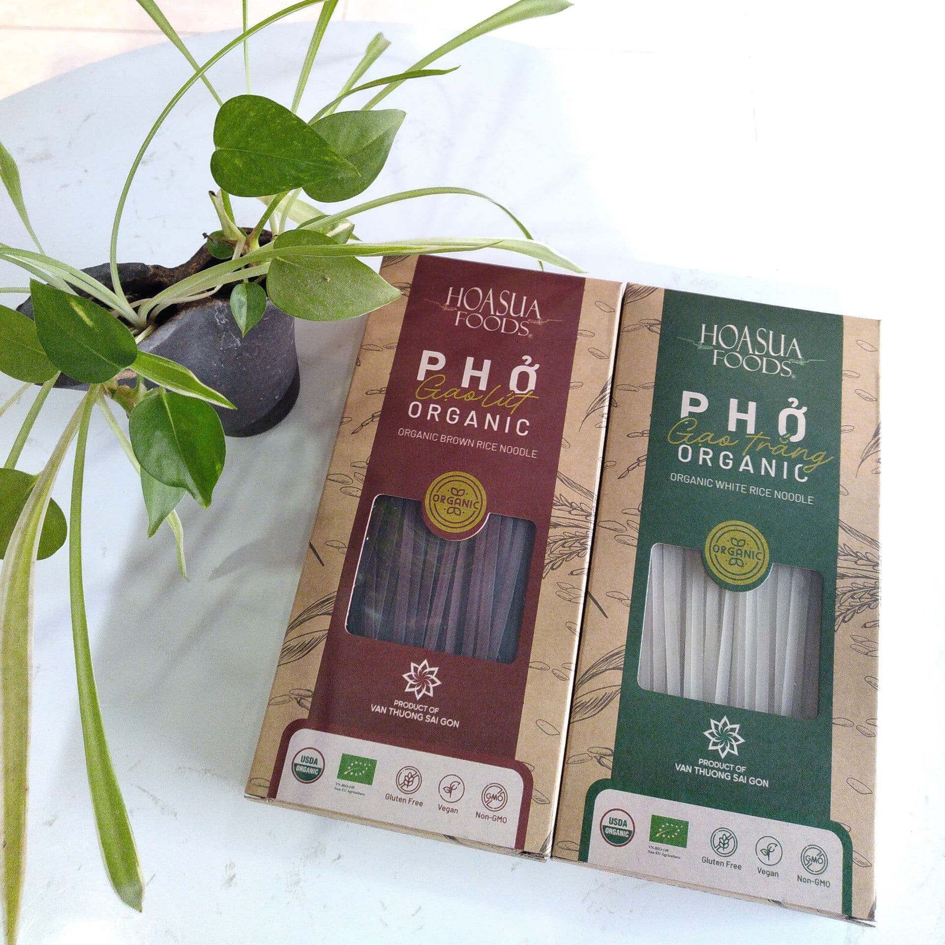 Phở gạo hữu cơ Hoa Sữa 250g - Phở gạo trắng/Phở gạo lứt - Leafhouse hcm