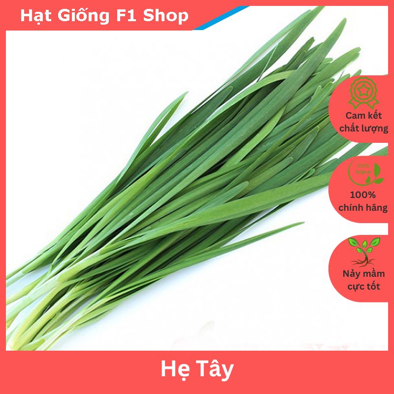 Hạt Giống Hẹ Tây (1 Gam)