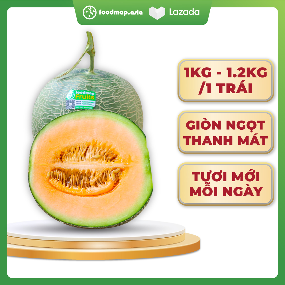 [GIÁ SIÊU HOT] Dưa Lưới Tròn Ruột Cam Giòn Ngọt Thanh Mát - Foodmap Fruits