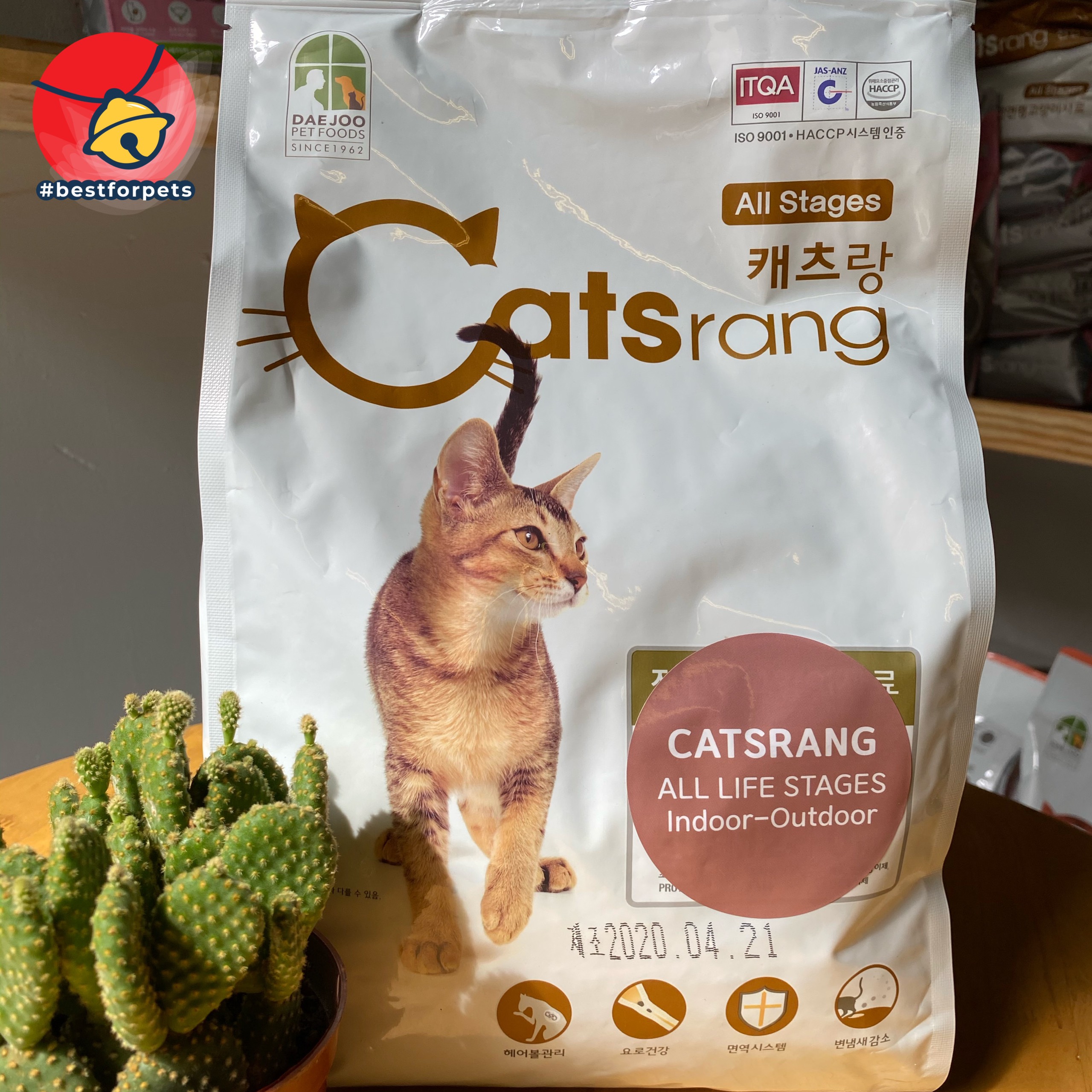 [Hoàn tiền 10%] Hạt Catsrang cho mèo mọi lứa tuổi - Túi 2kg chính hãng