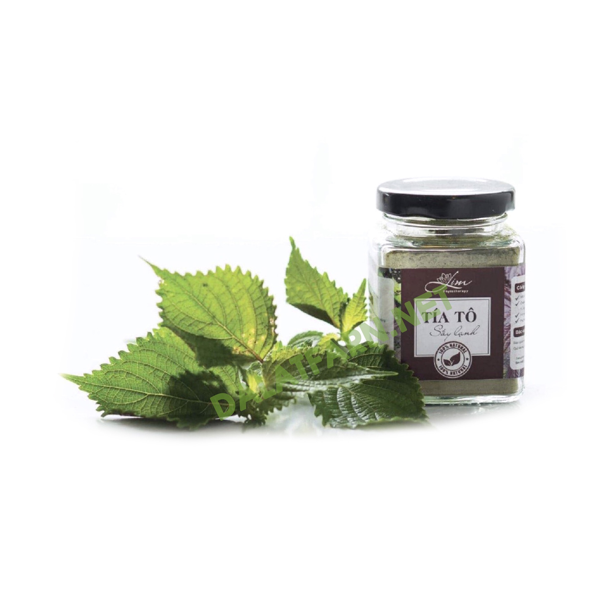 Bột tía tô nguyên chất sấy lạnh DalatFarm - Hủ 150g - Điều trị bệnh gout, giúp giải cảm, giảm cân, dưỡng thai hiệu quả