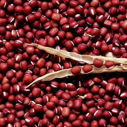 Đậu đỏ loại 1 nguyên chất từ thiên nhiên 1kg | Tâm Anh Store