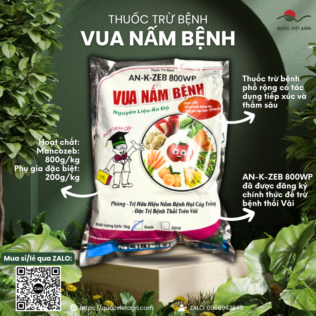 Thuốc trừ bệnh VUA NẤM BỆNH AN-K-ZEB 800WP (gói 1KG) - Mancozeb bột xanh Trị nứt thân, xì mủ dưa hấu, thán thư trên xoài