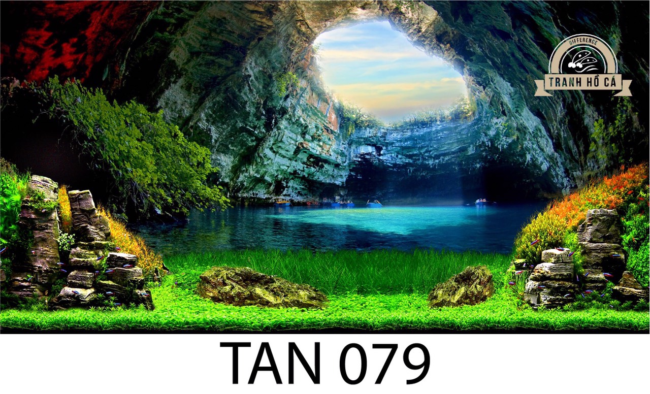 Tranh dán hồ cá tan 079
