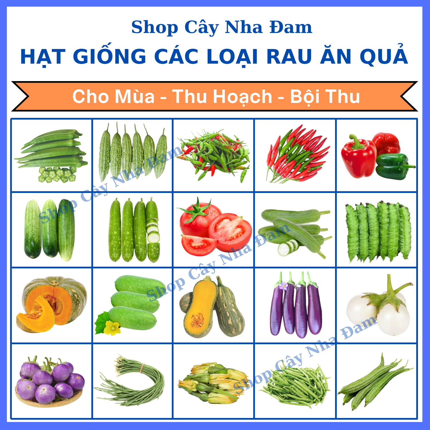 Hạt Giống Củ, Quả, Nhiều Loại, Trồng Trong Chậu, Dễ Trồng, Trồng Quanh Năm, Cho Năng Suất Cao