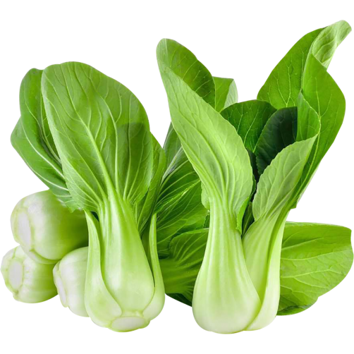 Hạt giống rau cải chíp 20g