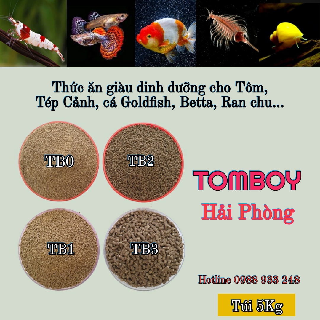 {Giá sập sàn} Combo 2kg cám Tomboy dành cá Cảnh, cá Ranchu và các loại cá ăn ở tầng đáy