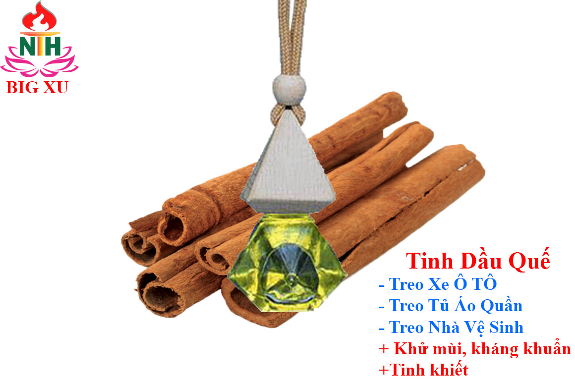 TINH DẦU QUẾ TREO XE TỦ QUẦN ÁO PHÒNG VỆ SINH KHỬ MÙI HÔI THƠM NGÁT CHỐNG SAY XE HIÊU QUẢ. Sản phẩm là 1 lọ tinh dầu treo có chứa sẵn 8ml tinh dầu tùy mùi bạn lựa chọn