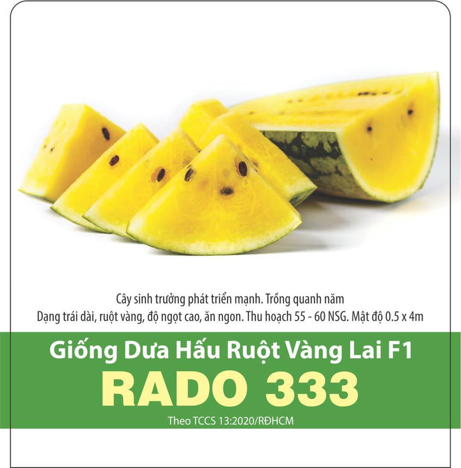 Hạt Giống Dưa Hấu Ruột Vàng (5 Hạt)