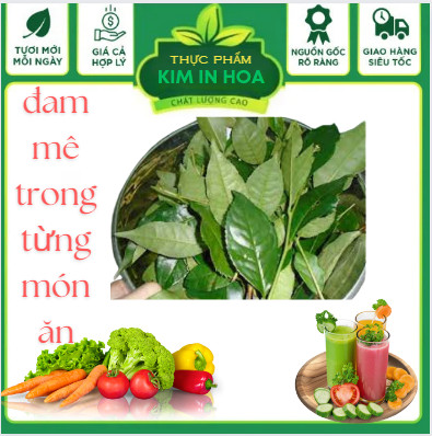Lá trà tươi dùng nấu nước uống