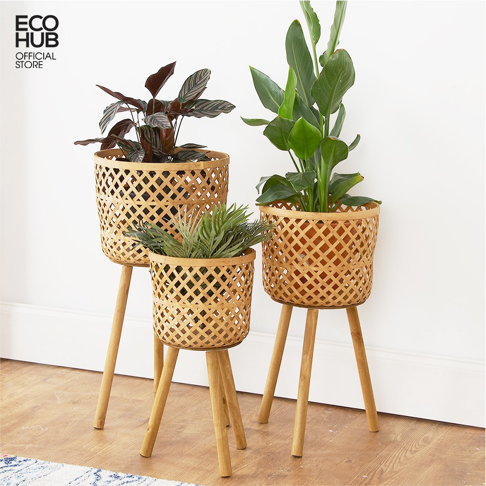 Giỏ tre trồng cây ECOHUB Bằng tre tự nhiên 3 Size decor, trang trí, chụp ảnh, trưng bày sang trọng | EH015