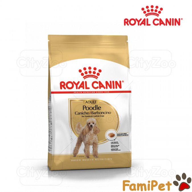 Hạt Thức Ăn Khô Royal Canin Cho Chó Poodle Trưởng Thành 1,5kg – Royal Canin Poodle Adult