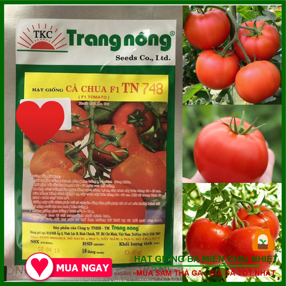 Hạt giống cà chua vô hạn f1 tn748 gói 0.6gram