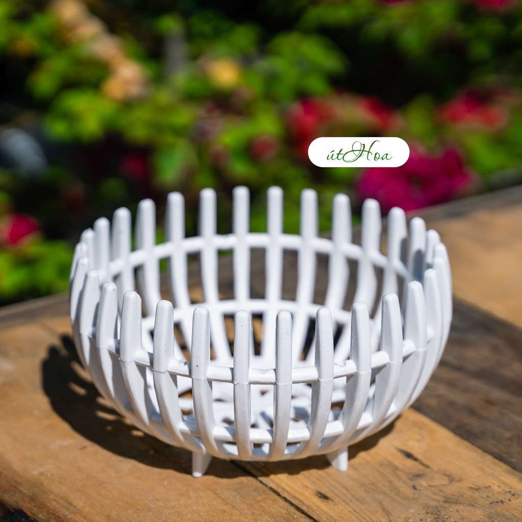Chậu trồng lan que dày đủ size giá rẻ