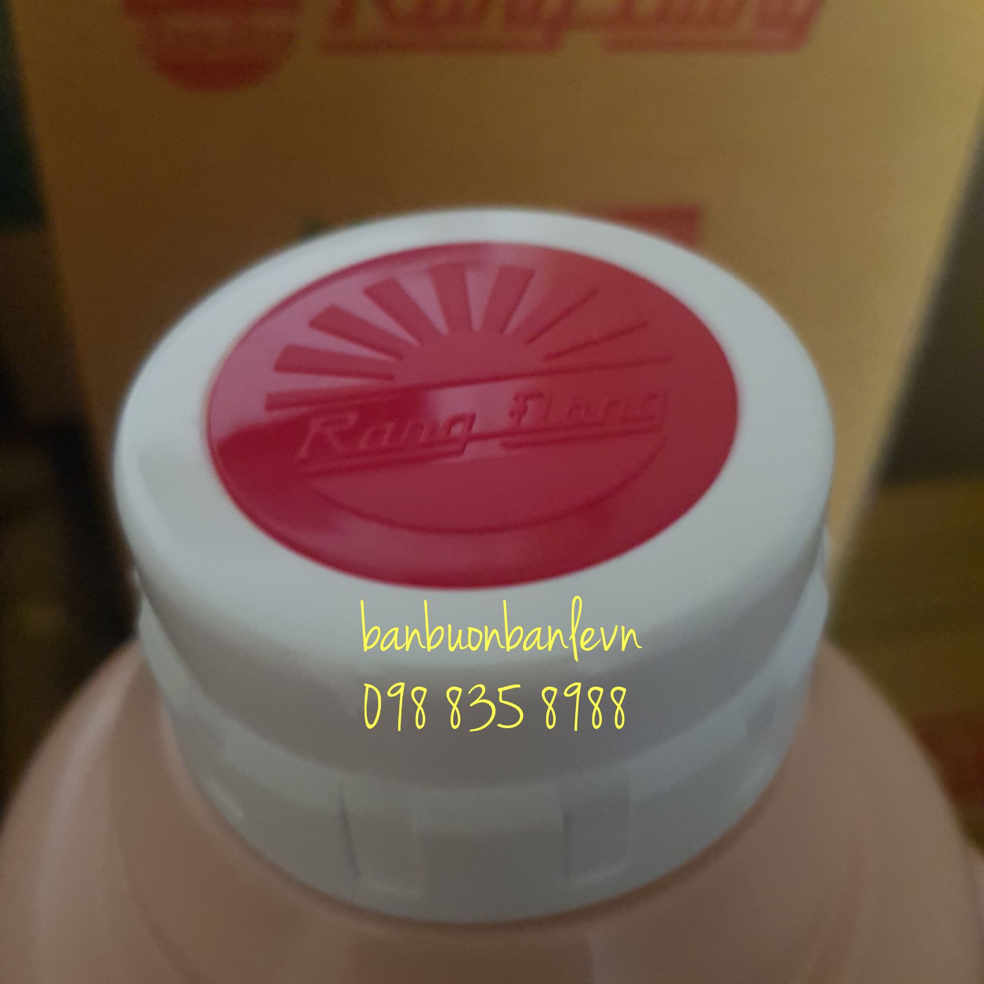 Phích đựng nước nút xoáy rạng đông 2035 n6.x