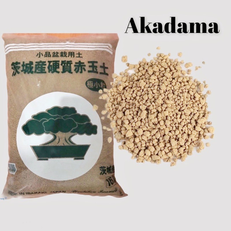 Đất Akadama 3-5mm - Đất trồng sen đá cao cấp