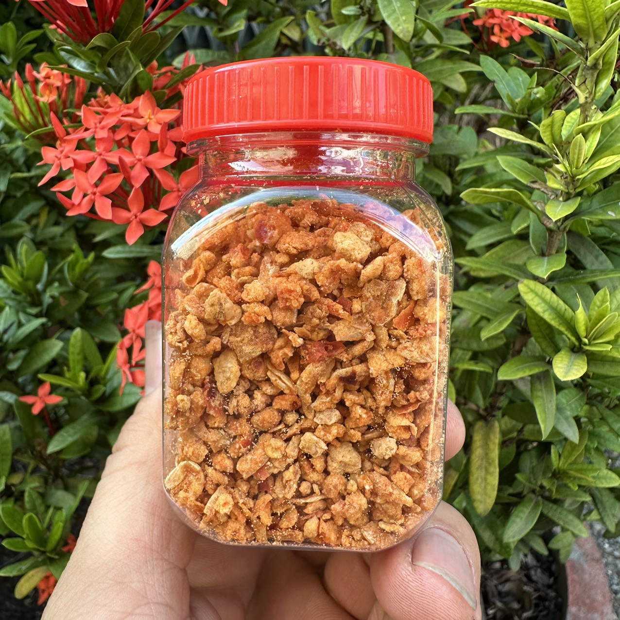 muối tây ninh - MUỐI TÔM CỰC NGON  HŨ NHỎ 80gram