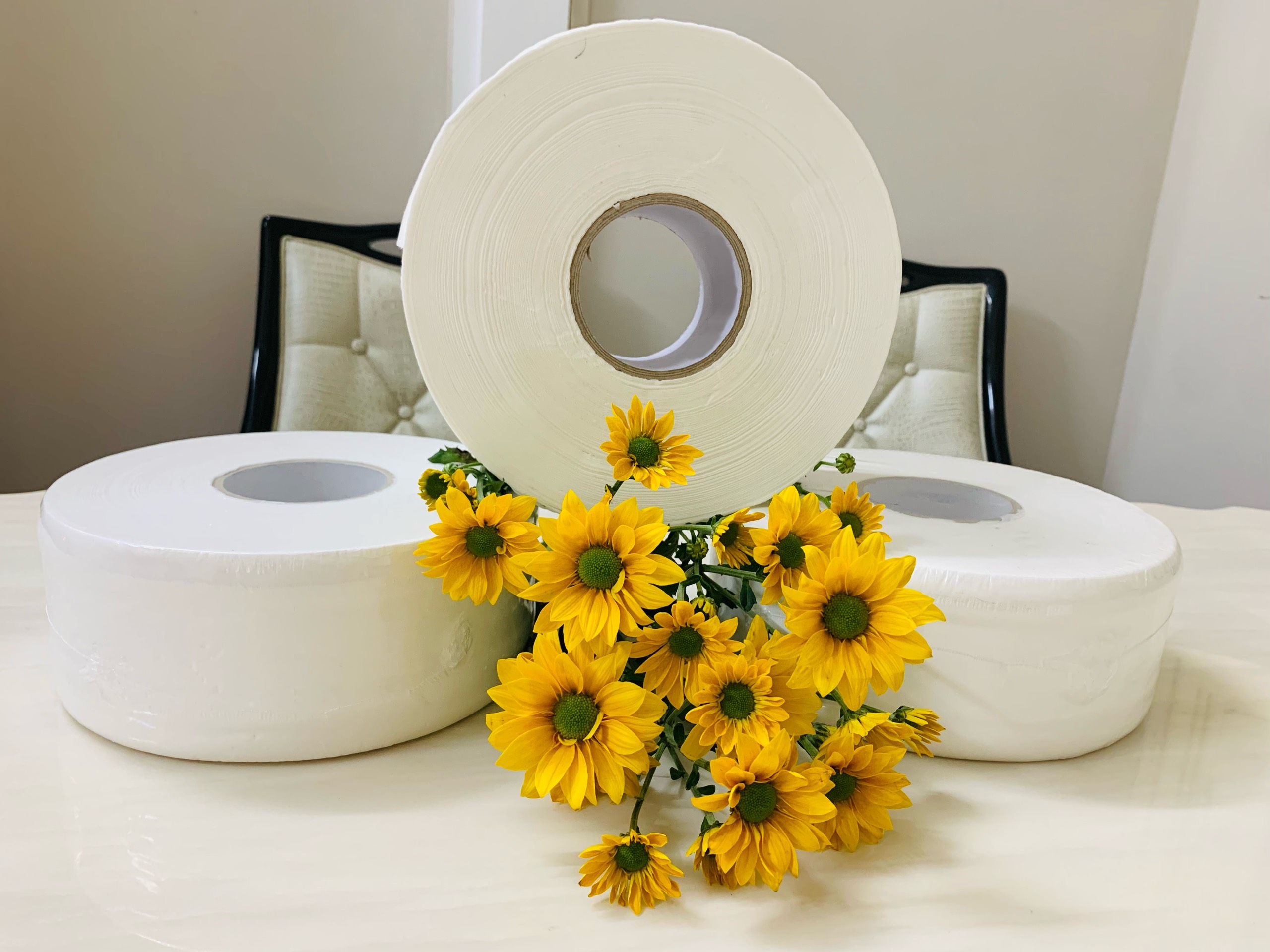 Giấy vệ sinh cuộn lớn 2 lớp cao cấp 670gr