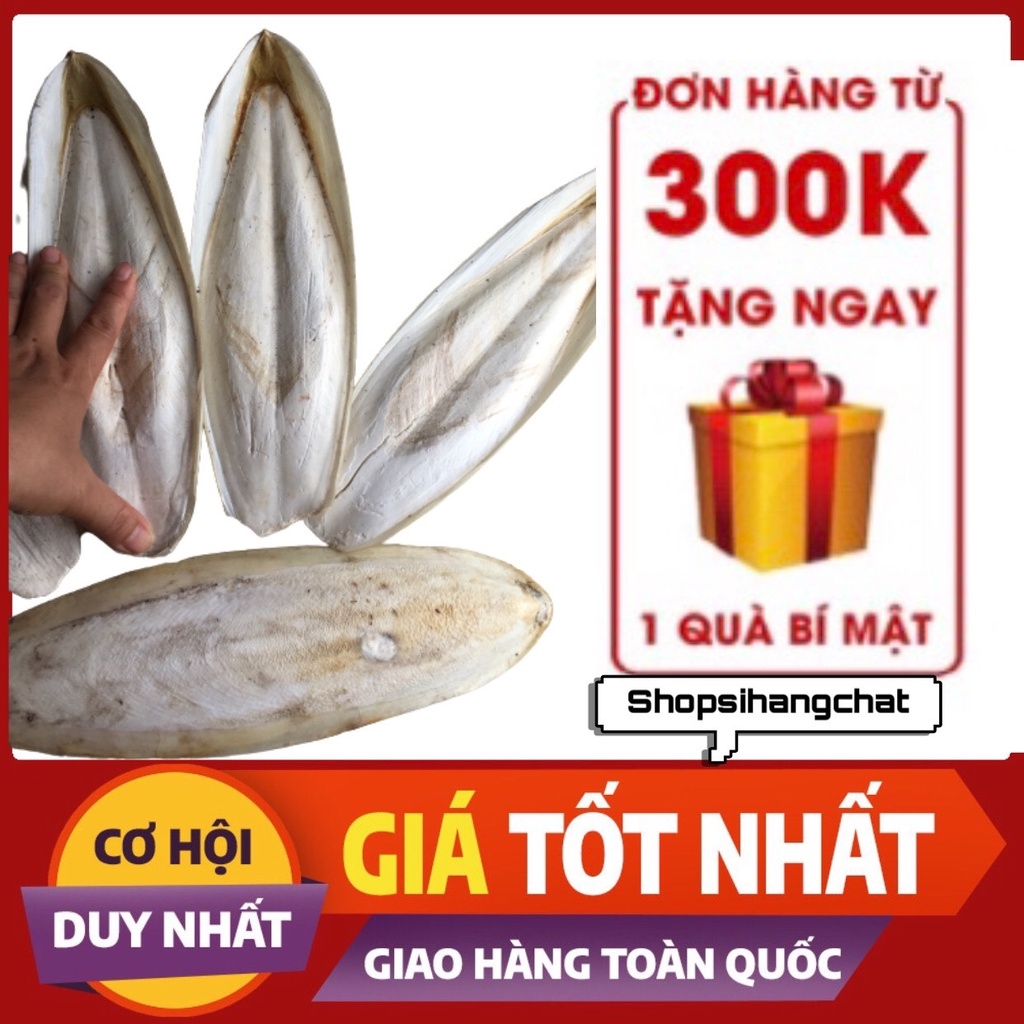 NANG MỰC/MAI MỰC nguyên miếng đa công dụng-thức ăn cho ChimSócThỏdùng trong đông ylàm sương sâm.(bán theo size/miếng