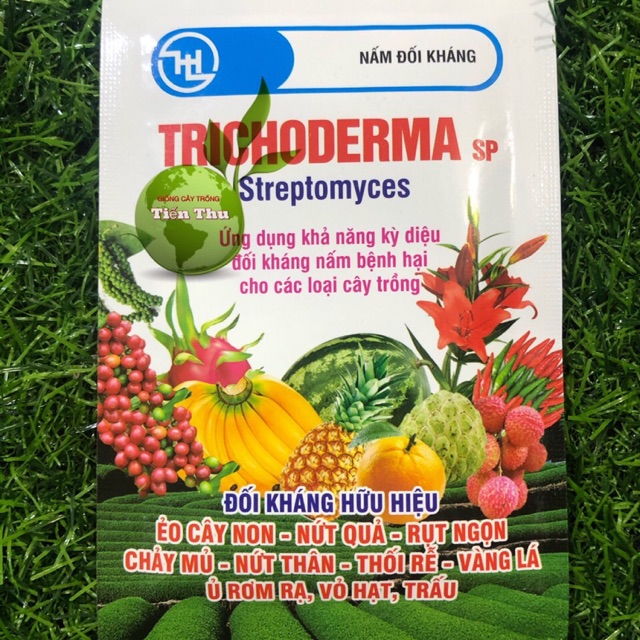 Chế phẩm sinh học nấm đối kháng trichoderma sp ủ ph ân đậu tương, phân bánh dầu, phân cá, phân chuồng, rác thải