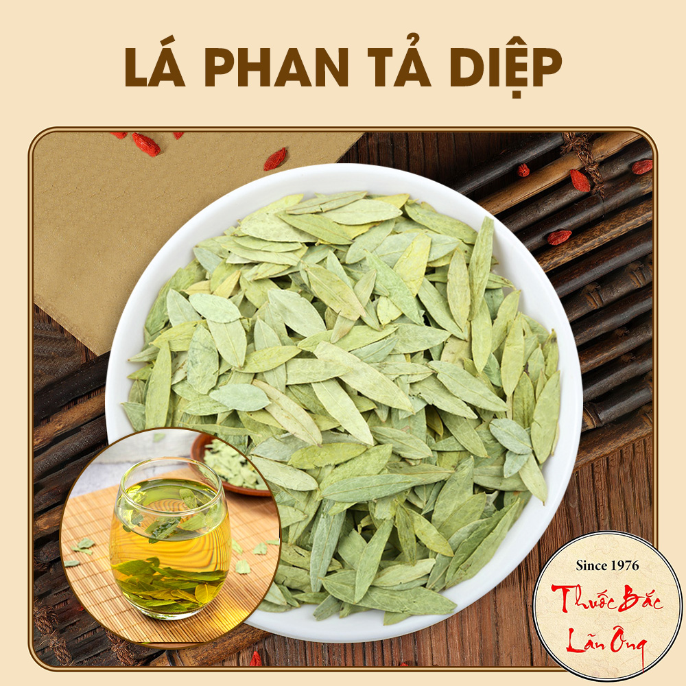 Lá phan tả diệp 200g, trà phan tả, lá xanh, thơm, không vụn, hỗ trợ thải độc, táo bón - Lãn Ông
