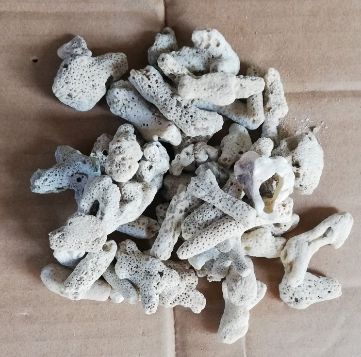 [HCM]COMBO 2KG SAN HÔ LỌC HỒ CÁ THẢ BỂ CÁ NHÀ HÀNG