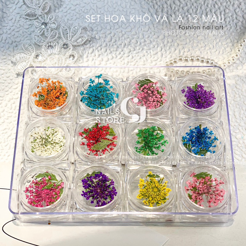 Set hoa lá khô trang trí móng 12 ô size lớn