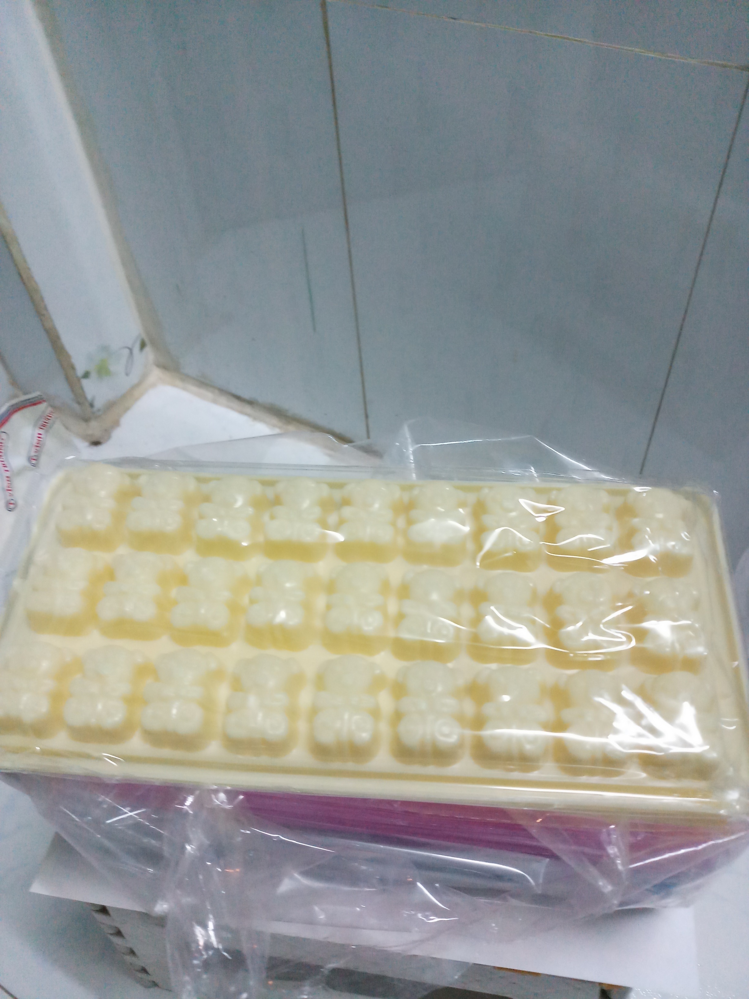 KHAY NHỰA VĨNH TRƯỜNG LÀM ĐÁ VÀ LÀM RAU CÂU QTP054
