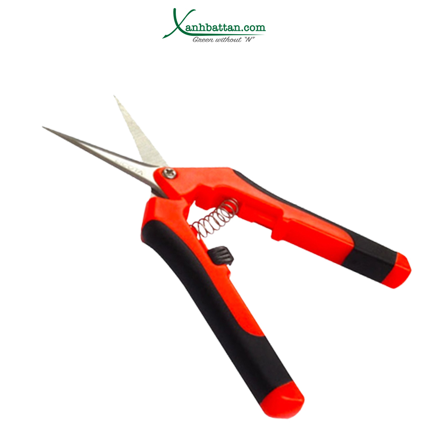 Kéo cắt cành LICOTA Model TGP-00248-6 cắt cành hoa hồng, cắt cành hoa kiểng, tỉa cành, cắt hoa, chất liệu thép không rỉ, bền