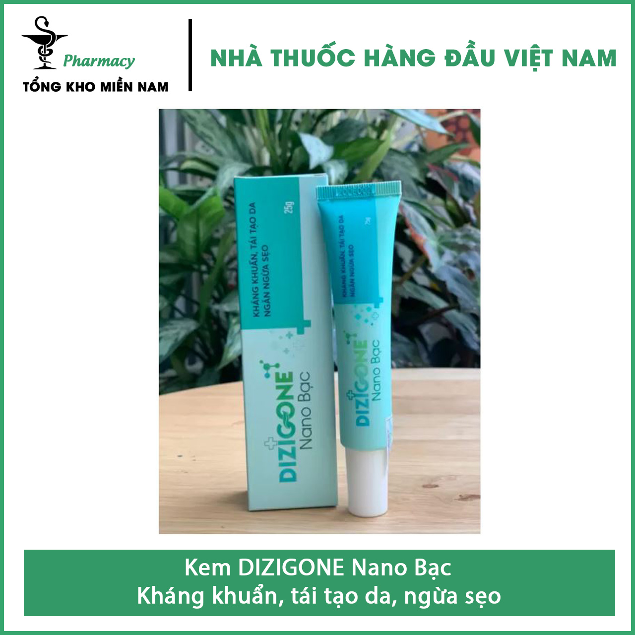 Kem DIZIGONE Nano Bạc Tuýp 25g - Kháng khuẩn, tái tạo da, ngừa sẹo - Tổng Kho MiềnNam
