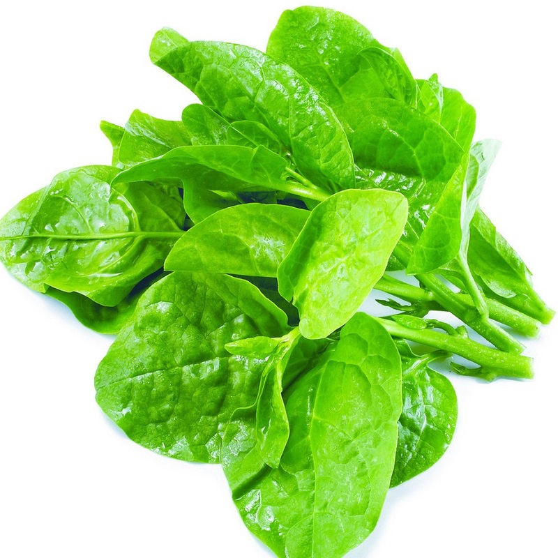 Hạt Giống Rau Mồng Tơi giàu dinh dưỡng 20gram