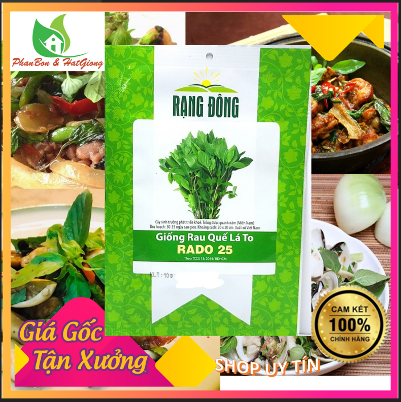 Hạt Giống Rau Húng Quế Lá To Rạng Đông - Shop Phân Bón, Hạt Giống Rau Củ Quả, Xơ Dừa, Mùn Dừa, Đất Sạch Trồng Rau, Cây Cảnh Tp. Hồ Chí Minh