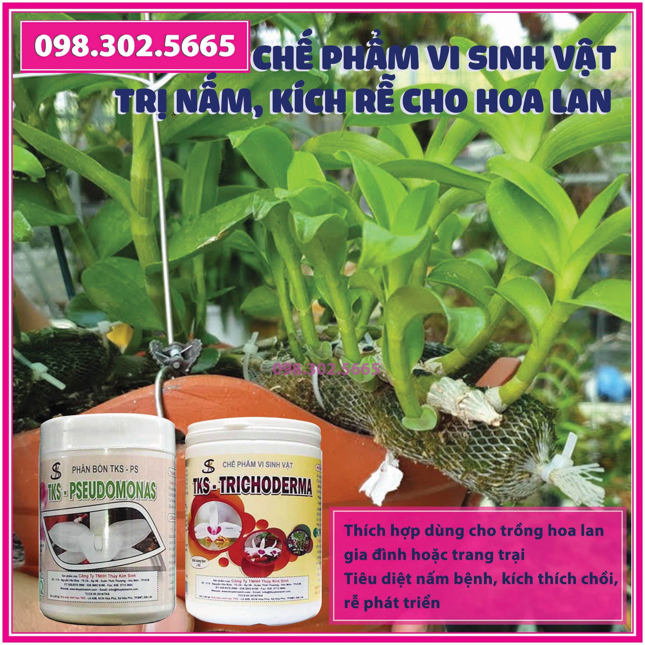 Set: Hộp 1kg nấm Trichoderma + hộp 1kg Phân bón Pseudomonas - Dùng cho hoa lan, cây cảnh