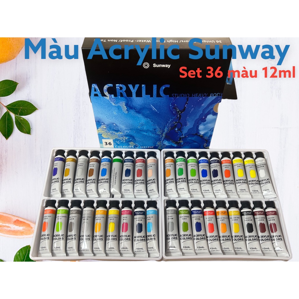 Màu bộ acrylic sunway colour paint 12ml bộ 12/18/24/36 màu
