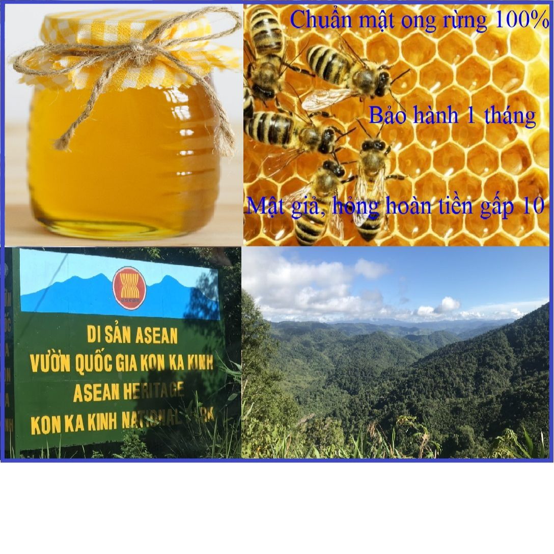 TRỢ GIÁ DÙNG THỬ 100ml Mật ong Rừng Tây Nguyên chuẩn 100%, loại đặc biệt