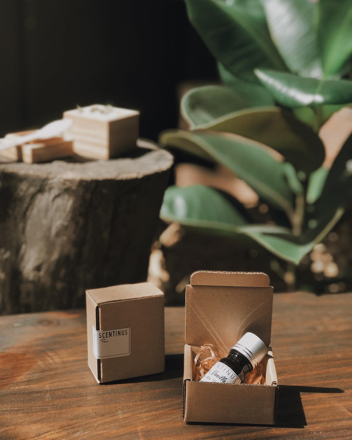 Tinh dầu vanilla
