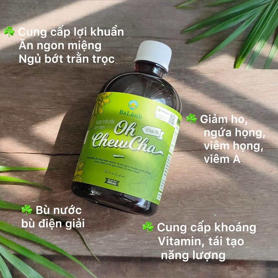 OH CHEWCHA- Nước trái cây lên men vị bạc hà bổ sung dinh dưỡng và khoáng chất cần thiết cho cơ thể, chai dung tích 500ml